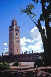 Image du Maroc Professionnelle de  L'ancien minaret de la Koutoubia, érigé en pierre de taille, son édification fut décidée en 1158 par le sultan Almohade Abdel Moumen aussitôt après sa conquête de Marrakech. Devenu l'emblème de la ville touristique du Maroc, ce vieux minaret nécessite une restauration car il est incliné de quelques degré et risque de s'écrouler si rien n'est fait, photographié le Vendredi 19 Décembre 1986. (Photo / Abdeljalil Bounhar)